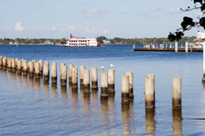 Enlarge photo 110