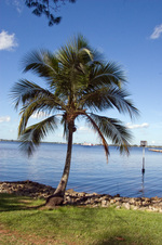 Enlarge photo 112