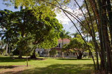 Enlarge photo 115