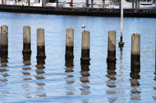 Enlarge photo 117
