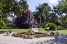 Enlarge photo 118