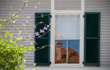 Enlarge photo 122