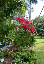 Enlarge photo 124