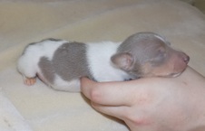 Enlarge photo 12