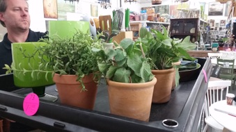 Enlarge photo 9