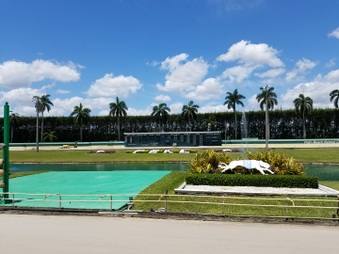 Enlarge photo 31
