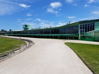 Enlarge photo 43