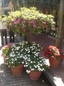 Enlarge photo 63