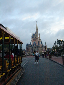 Enlarge photo 114