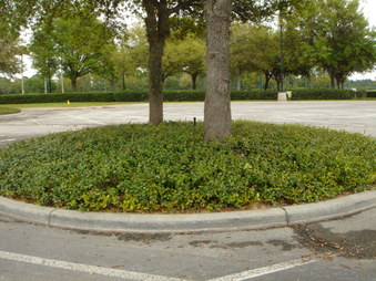 Enlarge photo 106