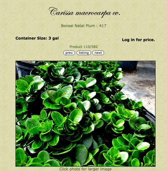 Enlarge photo 58