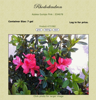 Enlarge photo 60
