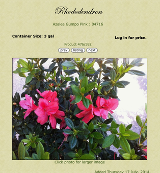 Enlarge photo 61