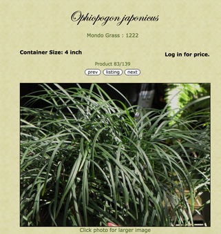 Enlarge photo 62
