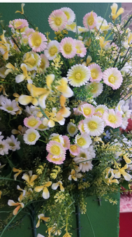 Enlarge photo 30