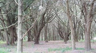 Enlarge photo 108