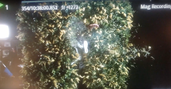 Enlarge photo 39