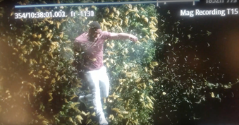 Enlarge photo 13