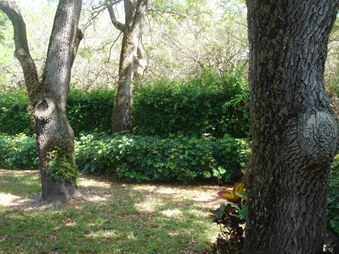 Enlarge photo 57