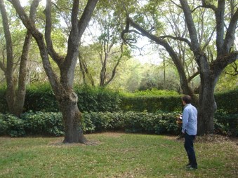 Enlarge photo 58