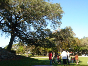 Enlarge photo 21