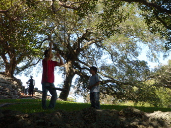 Enlarge photo 31
