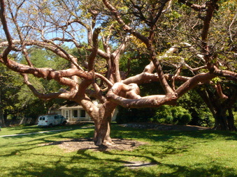 Enlarge photo 12