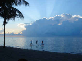 Enlarge photo 23