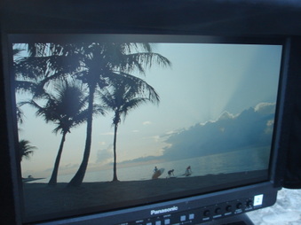 Enlarge photo 28