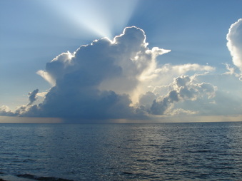 Enlarge photo 31