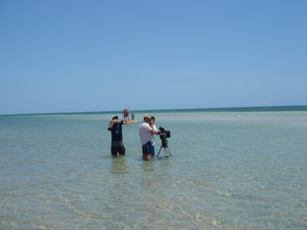 Enlarge photo 54