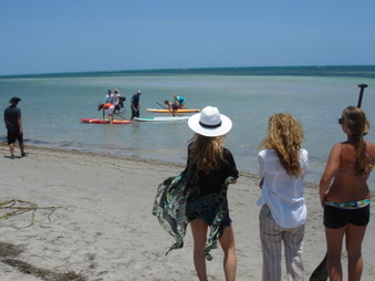 Enlarge photo 59