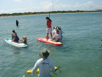 Enlarge photo 66