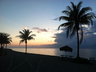 Enlarge photo 2