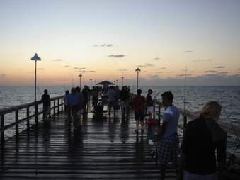Enlarge photo 217