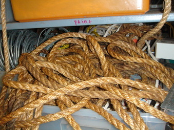 Enlarge photo 137