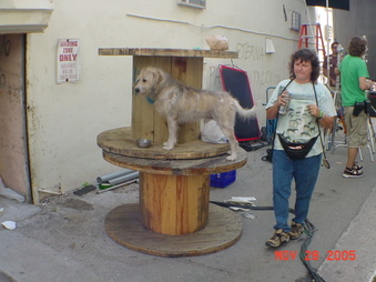 Enlarge photo 48