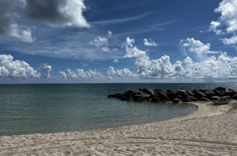 Enlarge photo 72