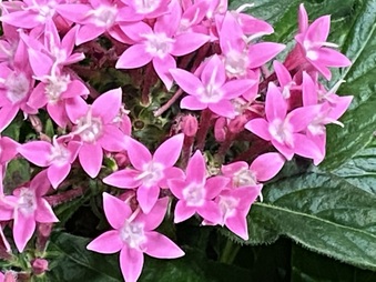 Enlarge photo 97