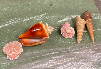 Enlarge photo 27
