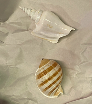 Enlarge photo 32