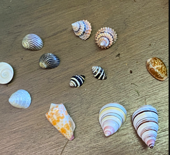 Enlarge photo 29