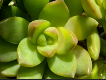 Enlarge photo 43