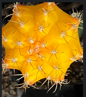 Enlarge photo 38