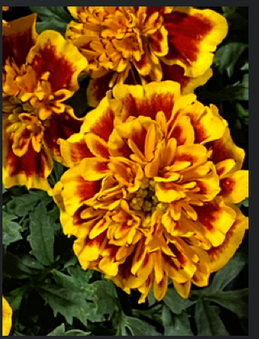 Enlarge photo 102