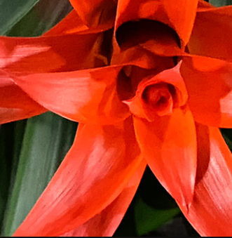 Enlarge photo 86