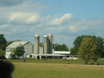 Enlarge photo 85