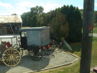 Enlarge photo 87