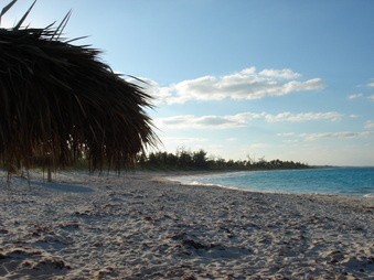 Enlarge photo 31
