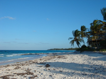 Enlarge photo 32